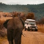 Photo Africa safari tour