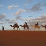 Photo africa travel agent