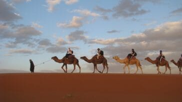 Photo africa travel agent