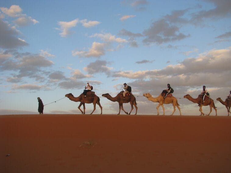 Photo africa travel agent