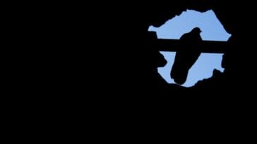 Photo Africa think tank