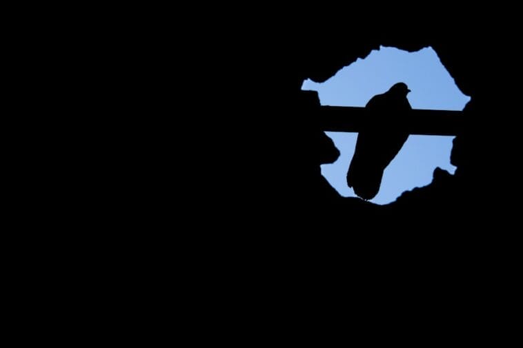 Photo Africa think tank