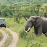 Photo Best luxury Africa tour companies