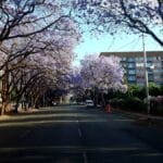 Photo University of Johannesburg South Africa