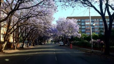 Photo University of Johannesburg South Africa