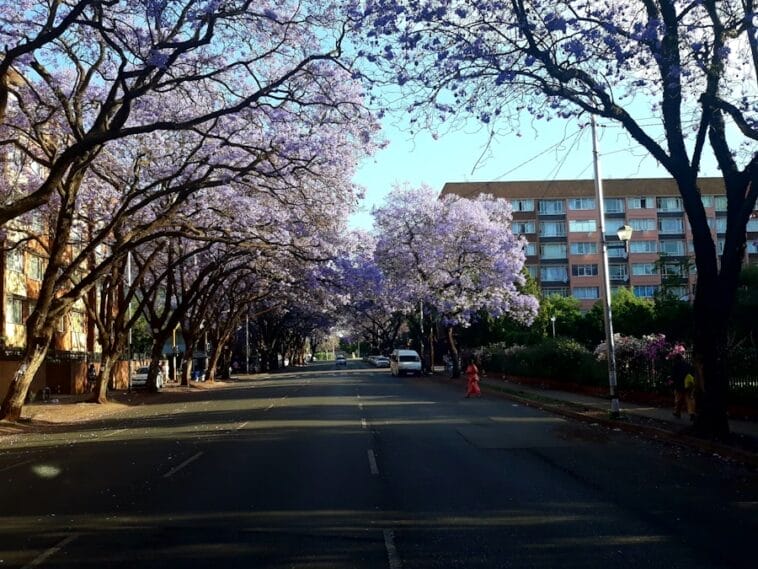 Photo University of Johannesburg South Africa