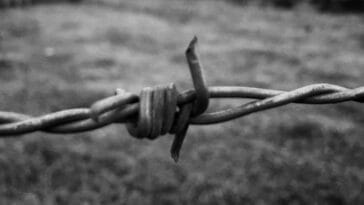 Photo Slavery in Africa