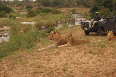 Photo Africa honeymoon