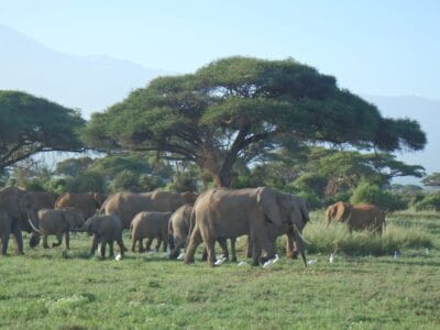 Photo africa tour company