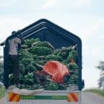 Photo "Africa and hunger"