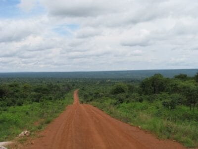 Photo Green Belt Africa