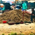 Photo Food security Africa