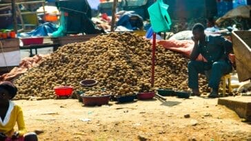 Photo Food security Africa