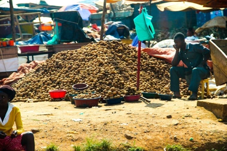 Photo Food security Africa