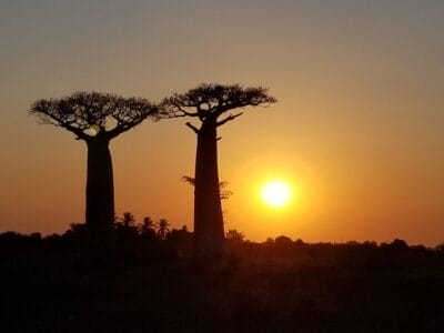 Photo Current events in Africa