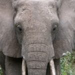 Photo Safari adventure