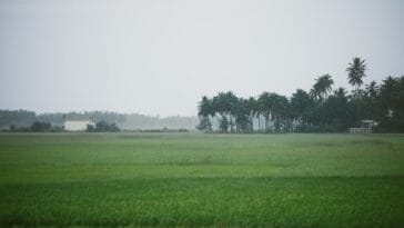Photo Farmers harvesting