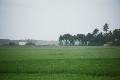 Photo Farmers harvesting