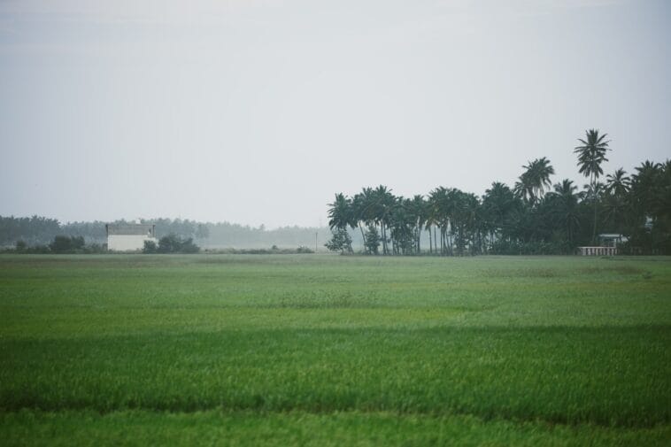 Photo Farmers harvesting