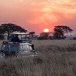 Photo Safari tour