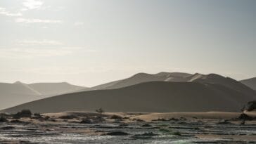Photo Dry landscape