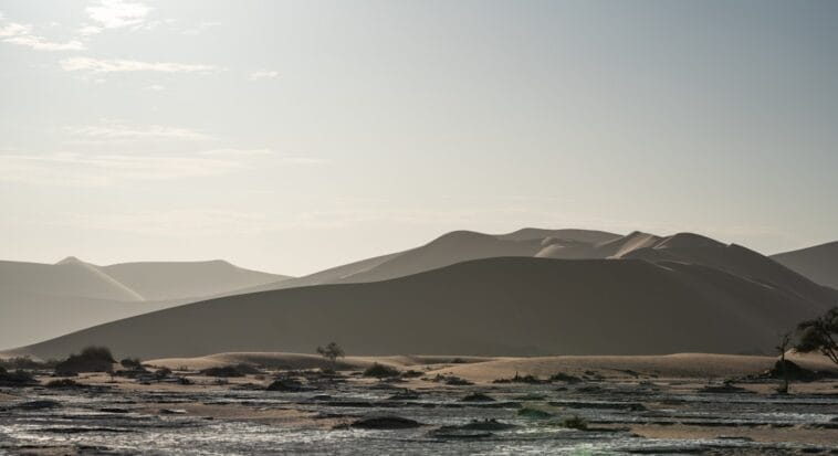 Photo Dry landscape
