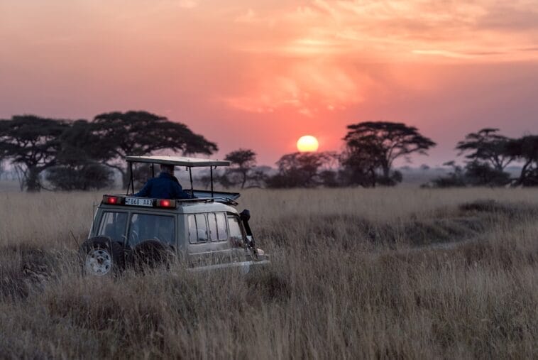 Photo Safari sunset