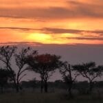 Photo Serengeti sunset