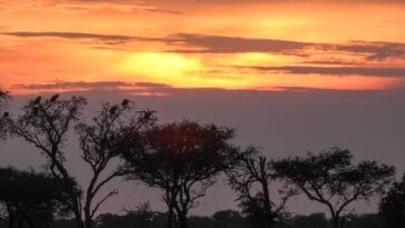 Photo Serengeti sunset