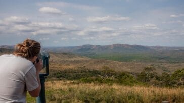 Photo South Africa safari honeymoon