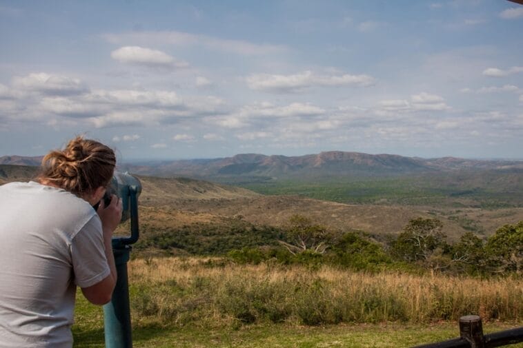Photo South Africa safari honeymoon