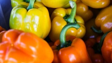 Photo Food distribution