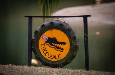 Photo Wildlife encounter