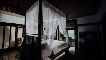 Photo Mosquito net