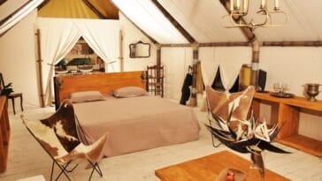 Photo Africa safari glamping Tanzania