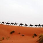 Photo Africa travel guides