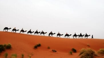 Photo Africa travel guides