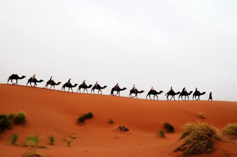 Photo Africa travel guides