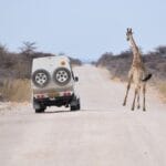 Photo Travel agent Africa