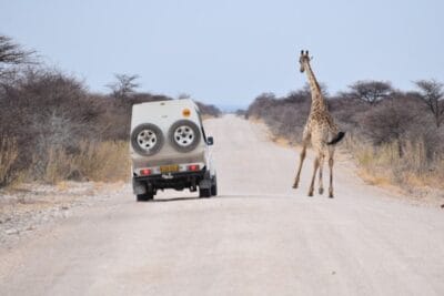 Photo Travel agent Africa
