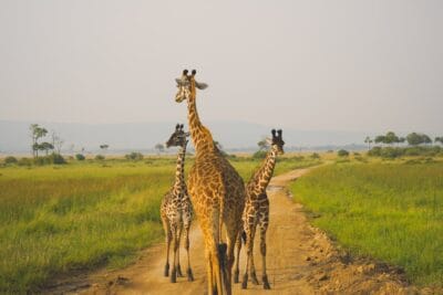 Photo Africa package tours
