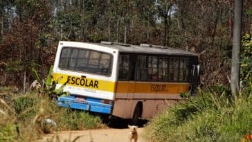 Photo "trip through Africa"