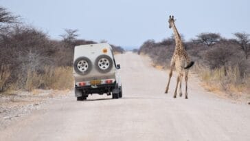 Photo "Africa luxury tours"