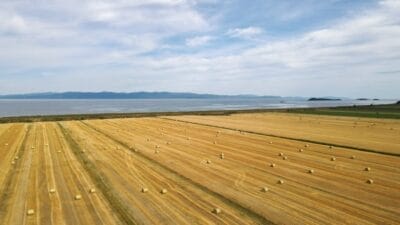 Photo Agricultural field
