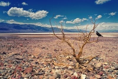 Photo Drought-stricken landscape