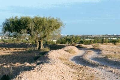 Photo Dry riverbed