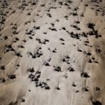 Photo Dry riverbed