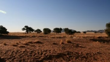 Photo Drought-stricken landscape