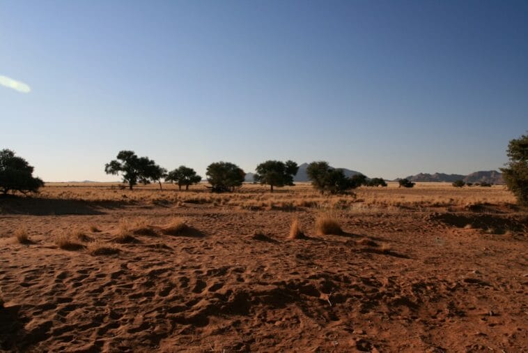 Photo Drought-stricken landscape