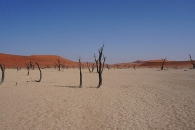 Photo Drought-stricken landscape
